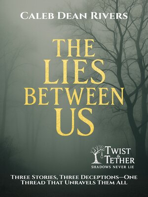 cover image of The Lies Between Us